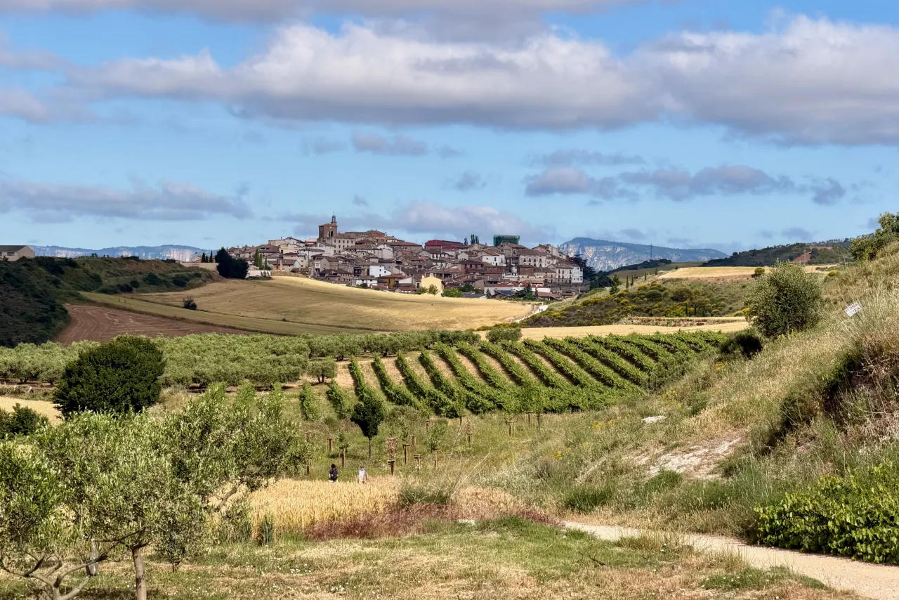 The open horizon of the meseta