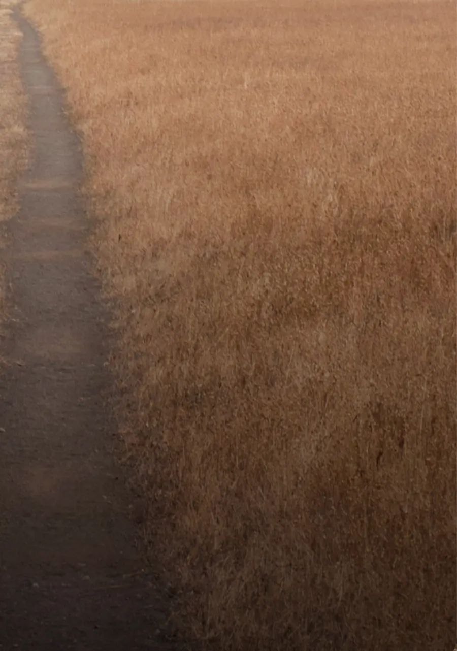 The path near Ponferrada